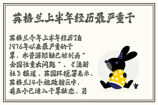 99视频精品全部