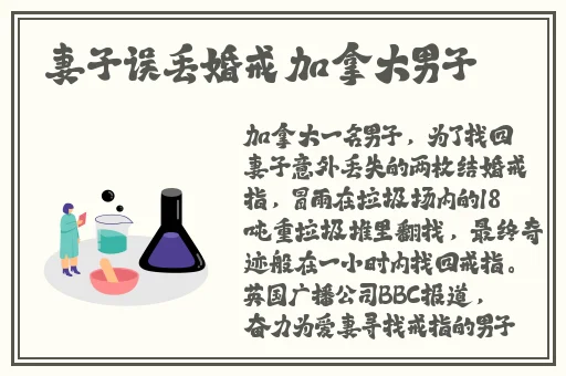 景德镇瓷都信息港